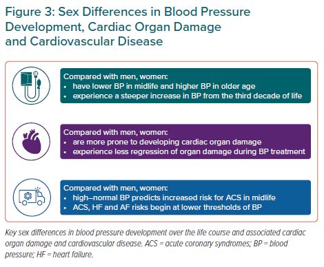 bp sexy video call|Sex Differences in Blood Pressure Associations With .